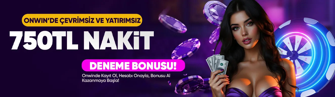 Onwin Mobil Uyumlu Arayüz
